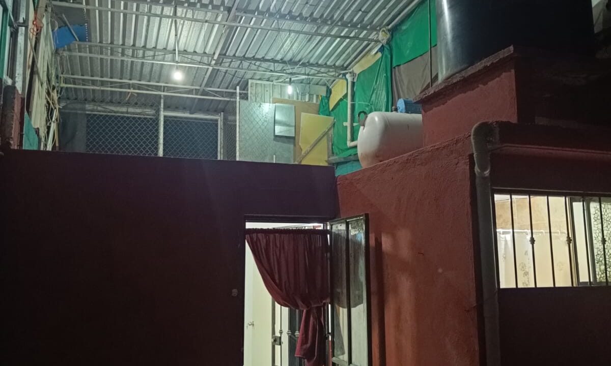 WhatsApp Image 2026-08-13 at 7.01.29 PM